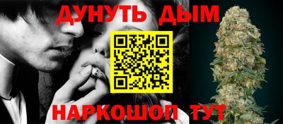 сатива Кунгур