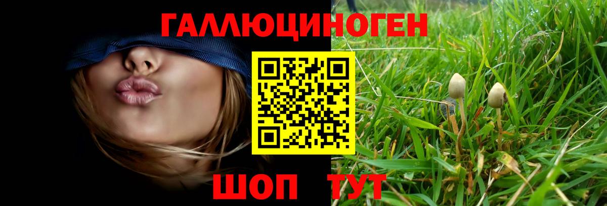 Донецк  купить наркоту  Вход с VPN  Псилоцибиновые грибы Psilocybe 